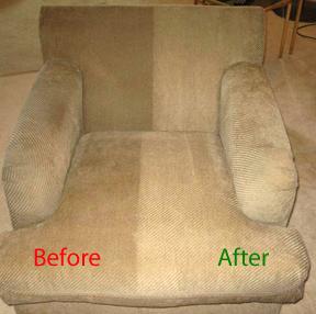 Upholstery Cleaning (Before & After)