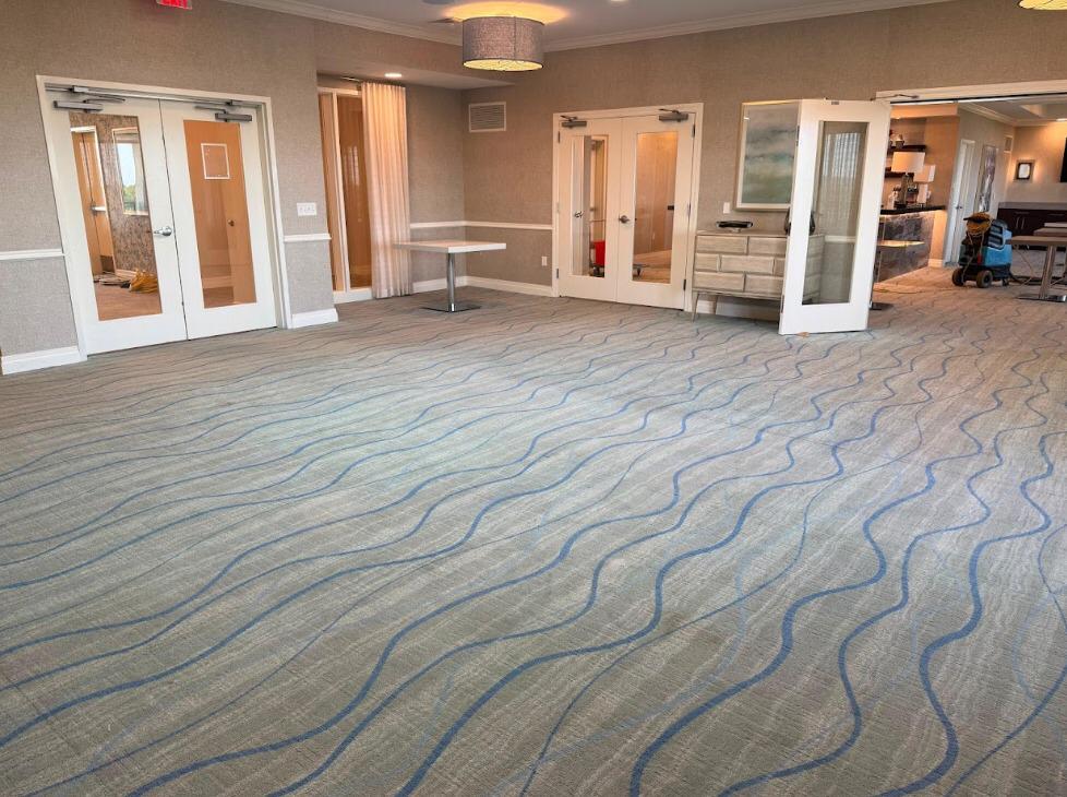 Professional carpet cleaning in Dallas, Tx: a complete guide to a cleaner, healthier home