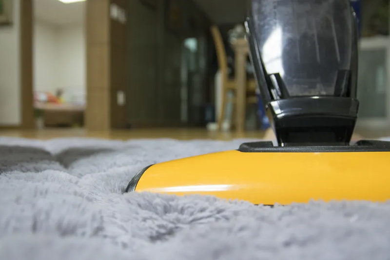 5 Questions You Should Ask Before Hiring a Professional Carpet Cleaner