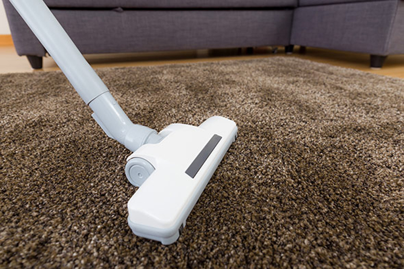 6 Reasons Why You Should Get Your Carpets Professionally Cleaned