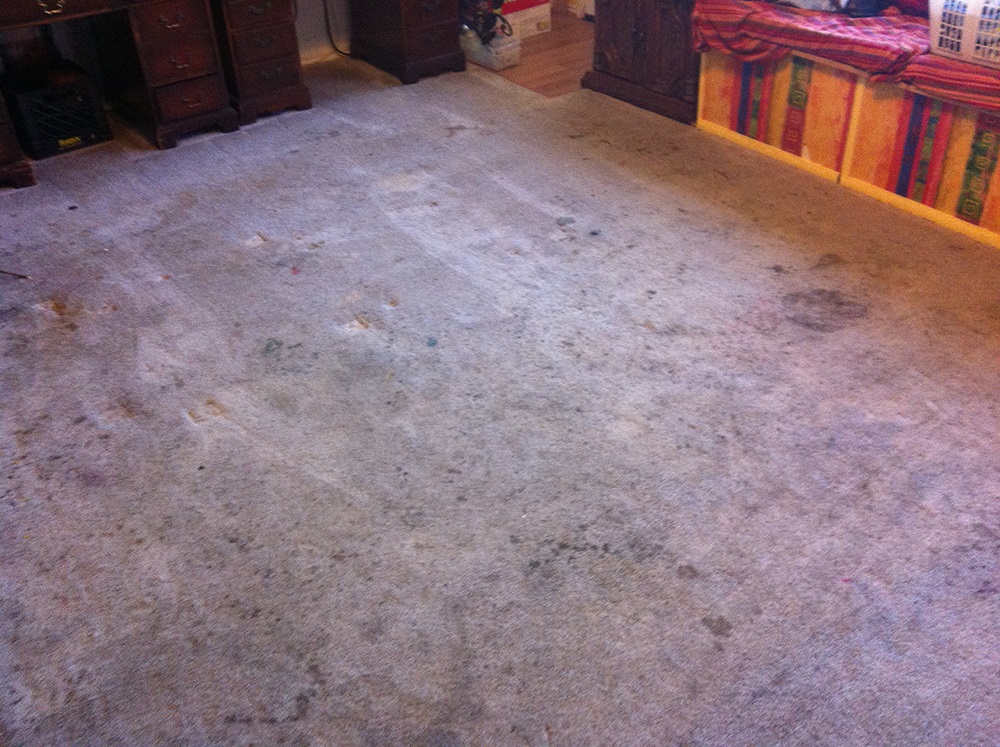 Heavily Stained Carpet (Before)